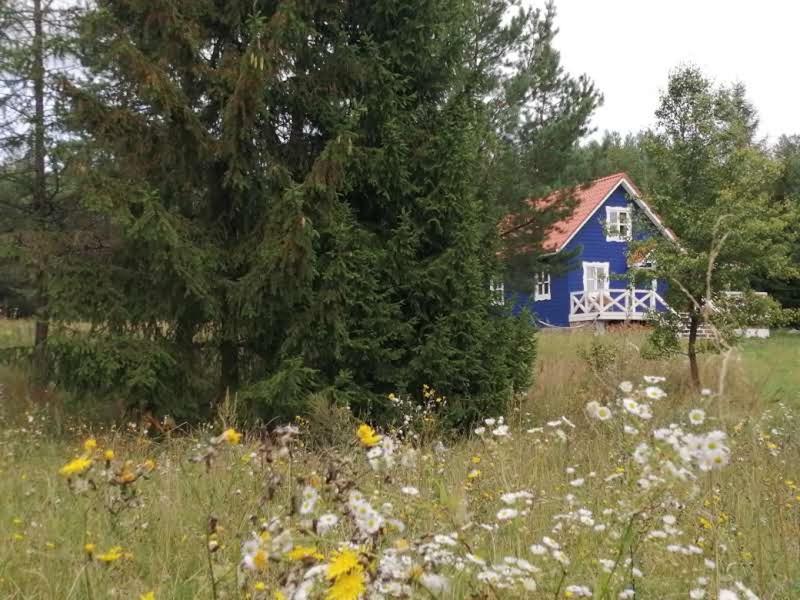Swiety Spokoj Laka I Woda Pozezdrze Eksteriør billede